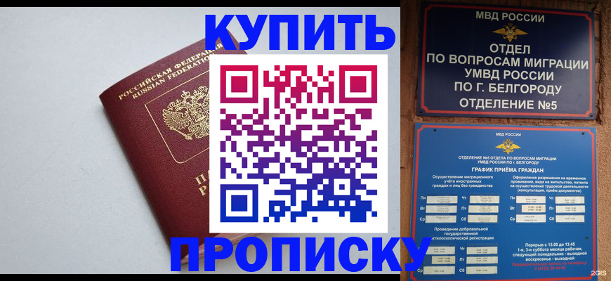 прописка регистрация в Бийске